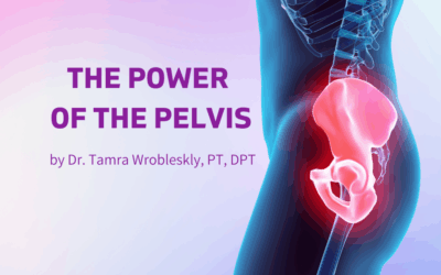 THE POWER OF THE PELVIS