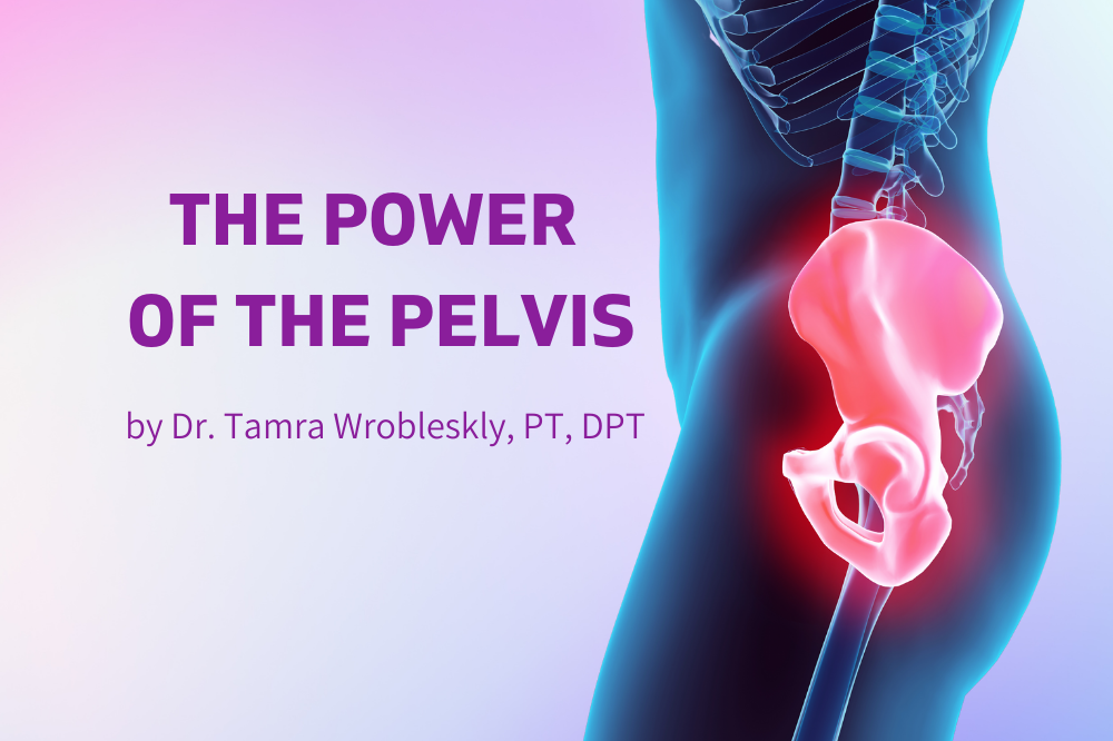 THE POWER OF THE PELVIS