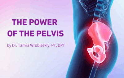 THE POWER OF THE PELVIS